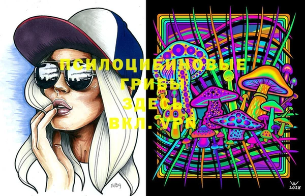 хмурый Кулебаки