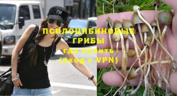 spice Кукмор