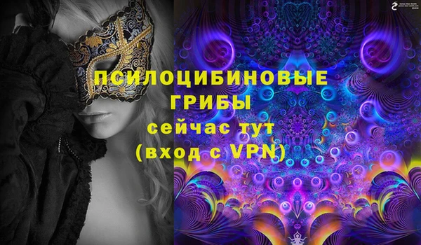 хмурый Кулебаки