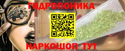 apvp Кимры