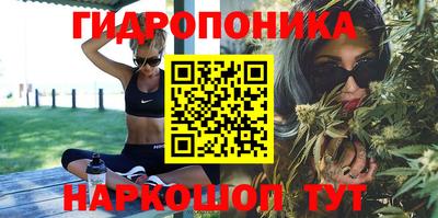 apvp Кимры