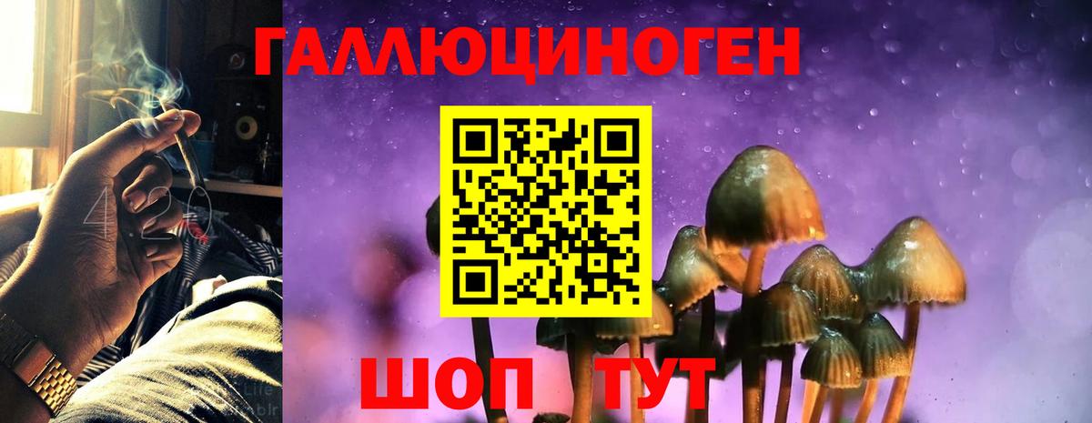 Псилоцибиновые грибы Psilocybine cubensis  Вход с VPN  Химки 